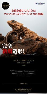 Ikimono Daizukan Advance Armadillo Lizard LP design (Toys, Hobbies & Figures / Black-colored / Cool style) PC version