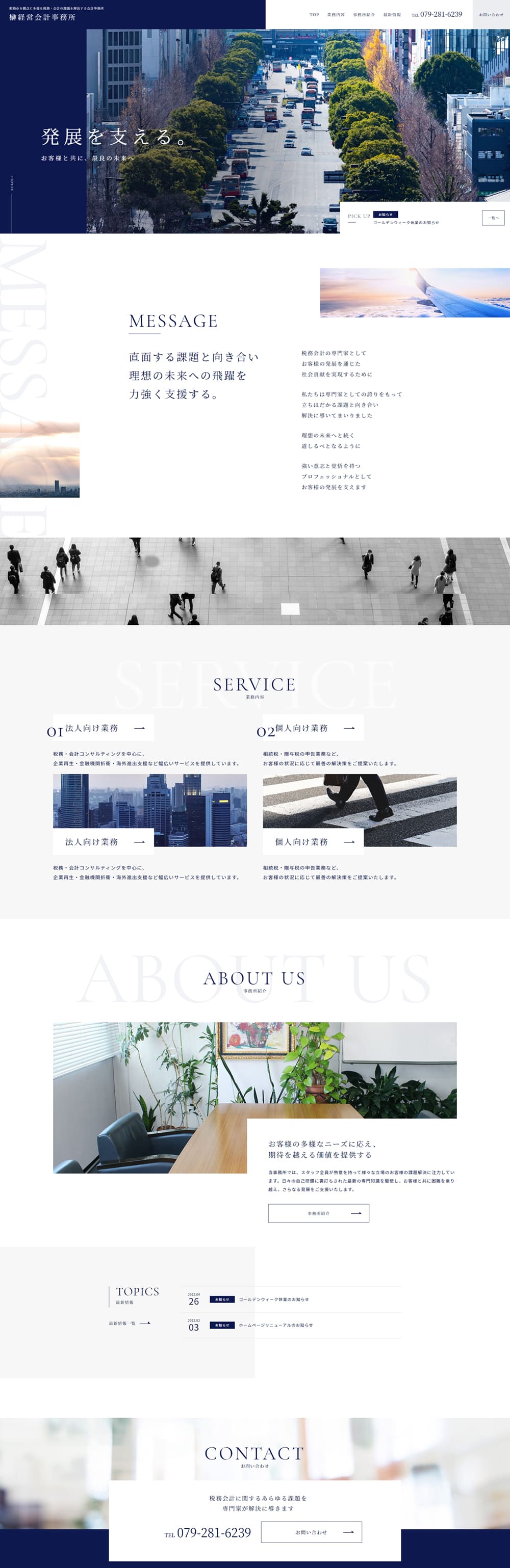 Tax Accounting LP design (Businesses, companies, stores / Shades of blue / Simple) PC version