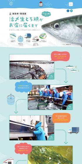 Until the Ikejime fresh fatty mackerel arrives at the restaurant LP design (Diagnosis, Matching, and Summary / Shades of blue / Refreshing type) PC version