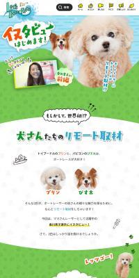 イヌタビューはじめます！のLPデザイン（イベント・キャンペーン・体験／グリーン系／マンガ・イラスト系）PC版