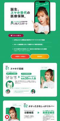 Hospitalization Passport LP design (Insurance, Finance, Credit / Green tones / Simple) PC version