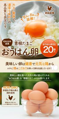 Ouhan Egg LP design (Prepared foods, dishes, and cuisine / Beige tones / Cute style) PC version