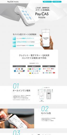 Payment Terminal PayCASMobile LP design (Businesses, companies, stores / White-based / Simple) PC version