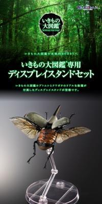 Ikmono Dai Zukan Exclusive Display Stand for Rhinoceros Beetles and Stag Beetles, Hindwings (Large) Set LP design (Toys, Hobbies & Figures / Black-colored / Luxury and celebrity) PC version
