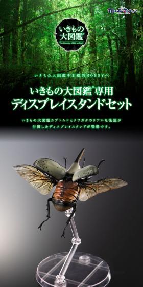Ikmono Dai Zukan Exclusive Display Stand for Rhinoceros Beetles and Stag Beetles, Hindwings (Large) Set LP design (Toys, Hobbies & Figures / Black-colored / Luxury and celebrity) PC version