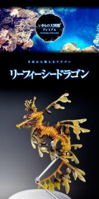 Living Things Encyclopedia Premium Leafy Sea Dragon LP design (Toys, Hobbies & Figures / Black-colored) PC version