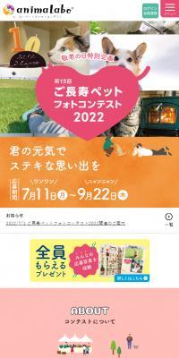 Senior Pet Photo Contest LP design (Events, Campaigns, Experiences / Multi-color type / Cute style) PC version