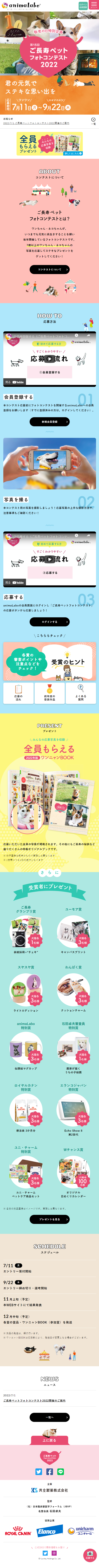 Senior Pet Photo Contest LP design (Events, Campaigns, Experiences / Multi-color type / Cute style) PC version