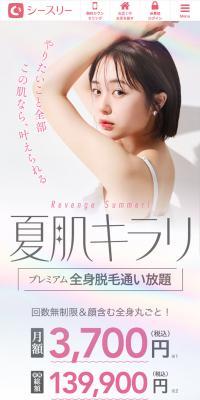 Full Body Hair Removal C3 LP design (este / White-based / Simple) PC version