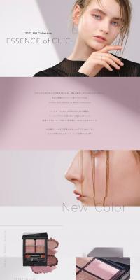 ETVOS2022AWCOLLECTION LP design (Cosmetics, makeup, and contact lenses / Shades of grey / Simple) PC version