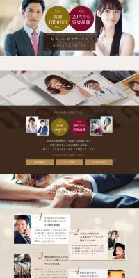 Premium Elite LP design (Diagnosis, Matching, and Summary / Brown tones / Stylish type) PC version
