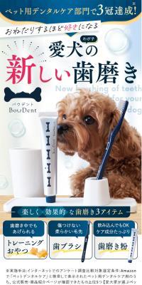 BowDent-Baudento- LP design (Pet food and pet supplies / Shades of blue / Refined style) PC version