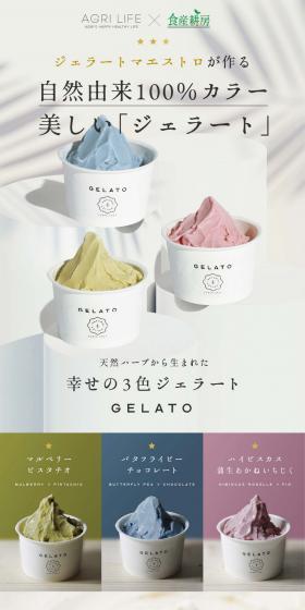 Happy Gelato with Natural Herbs LP design (Western confectionery / White-based / Simple) PC version