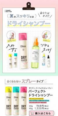Diane Dry Shampoo LP design (Skincare, Bodycare, Haircare / Multi-color type / Simple) PC version