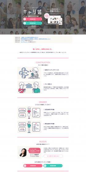 CarriKon LP design (Diagnosis, Matching, and Summary / White-based / Simple) PC version
