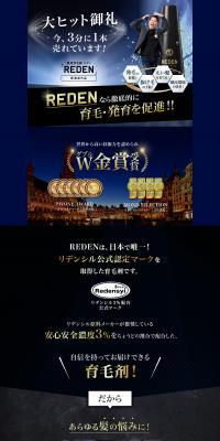 REDEN Subscription Plan LP design (Skincare, Bodycare, Haircare / Shades of blue / Strong) PC version