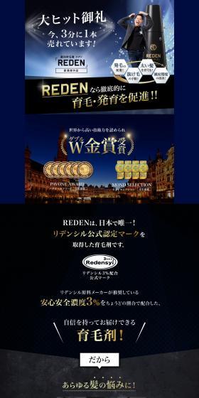 REDEN Subscription Plan LP design (Skincare, Bodycare, Haircare / Shades of blue / Strong) PC version
