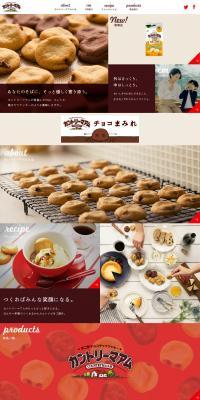 Fujiya Chocolate Chip Cookie Country Ma'am LP design (Snack foods, gum, and candy / Brown tones / Trust and Safety) PC version