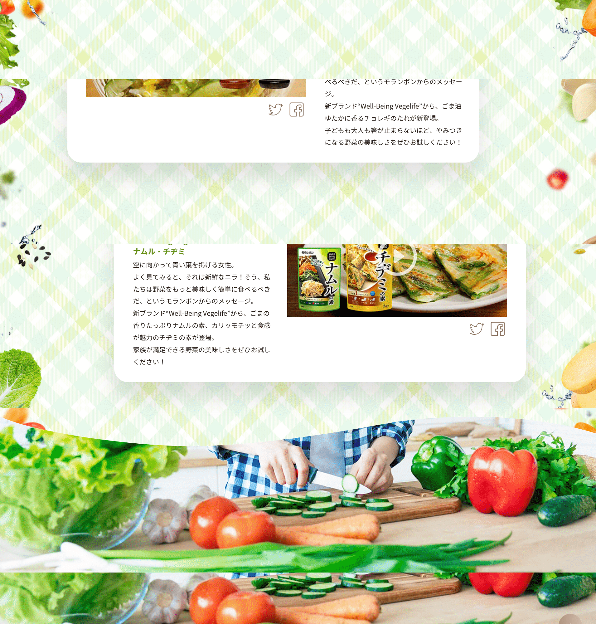 WellBeingVegelife LP design (Seasonings, Sweeteners, Broth, Soup / White-based / Simple) PC version