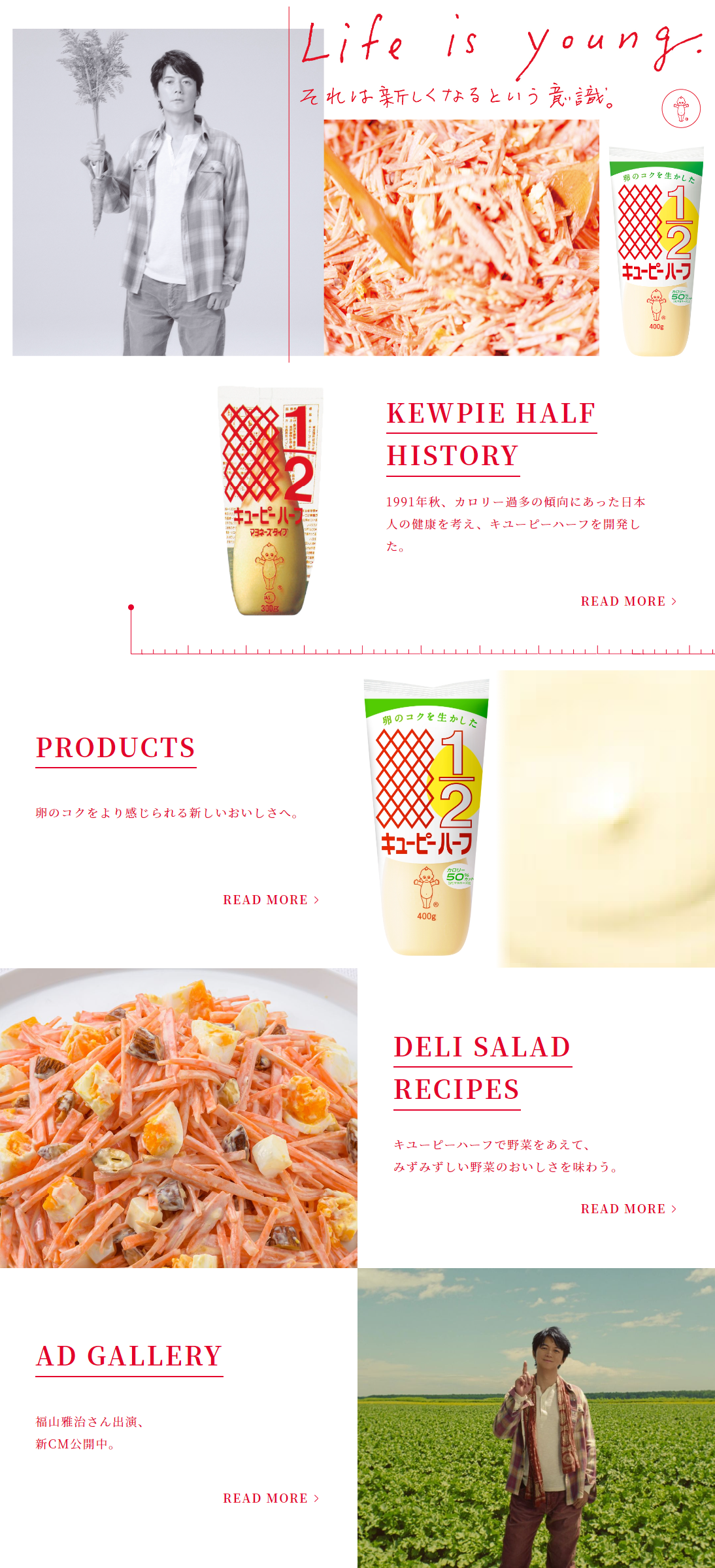Kewpie Half LP design (Seasonings, Sweeteners, Broth, Soup / Red tones / Simple) PC version
