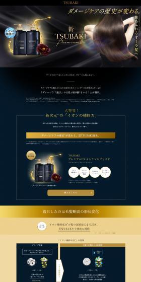 TSUBAKI Premium EX Intensive Repair LP design (Skincare, Bodycare, Haircare / Brown tones / Mystical) PC version