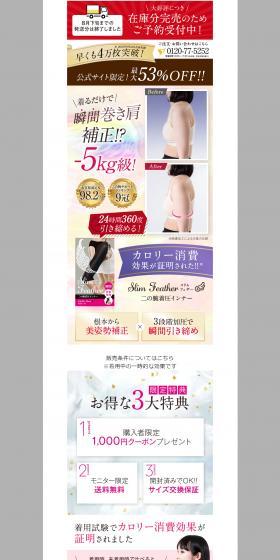 SlimFeather LP design (Dieting and weight loss) PC version