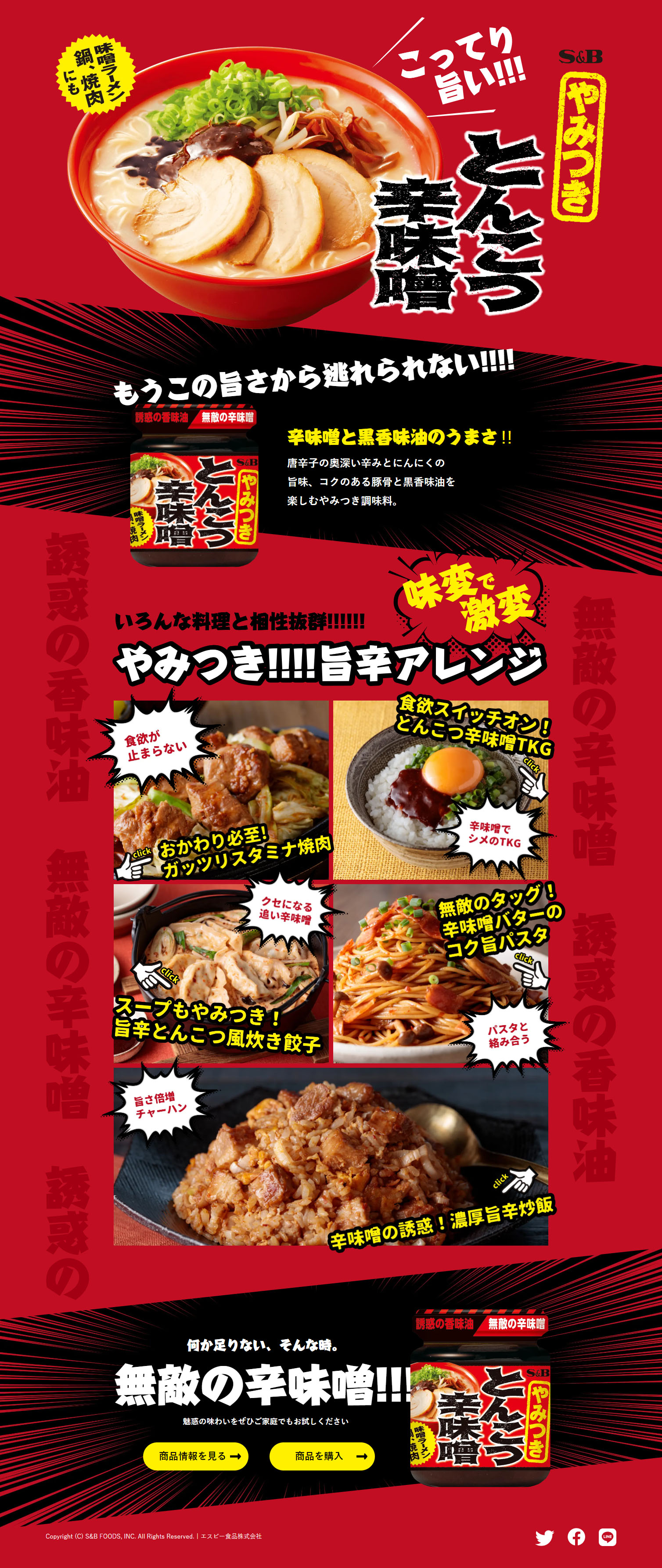 やみつきとんこつ辛味噌のLPデザイン（調味料・甘味料・ダシ・スープ／レッド系／力強い系）PC版