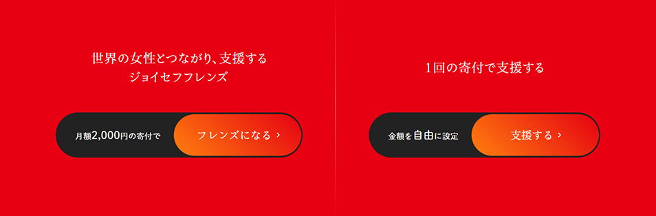 毎月定額寄付のLPデザイン（企業・会社・お店／レッド系／シンプル系）PC版