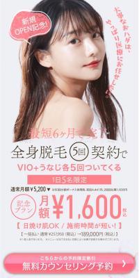 Full Body Hair Removal LP design (este / White-based / Refined style) PC version