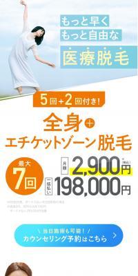 Full body + intimate area hair removal LP design (este / White-based / Refined style) PC version