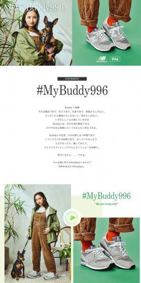 Lifestyle 996 LP design (Shoes / Multi-color type / Health and Wellness) PC version