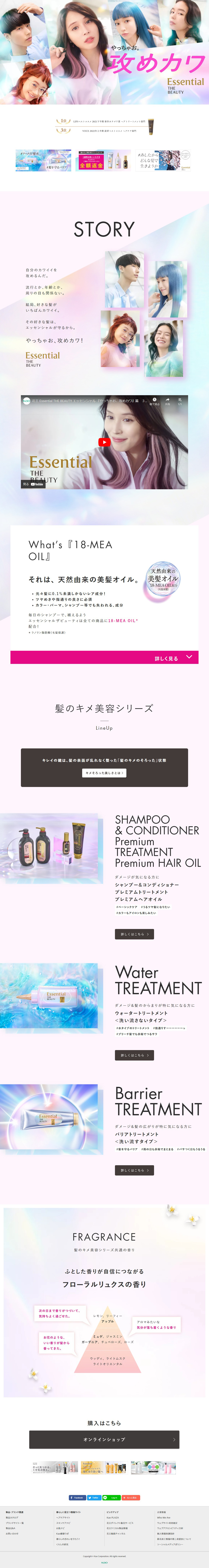 EssentialTHEBEAUTY LP design (Multi-color type / Refined style) PC version