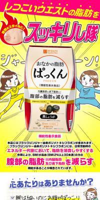 おなかの脂肪ぱっくんのLPデザイン（ダイエットサプリ・ダイエット飲料／イエロー系／マンガ・イラスト系）PC版