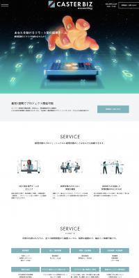 CASTERBIZ accounting LP design (Design, Apps, Systems / Multi-color type / Trust and Safety) PC version