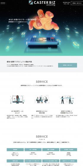 CASTERBIZ accounting LP design (Design, Apps, Systems / Multi-color type / Trust and Safety) PC version