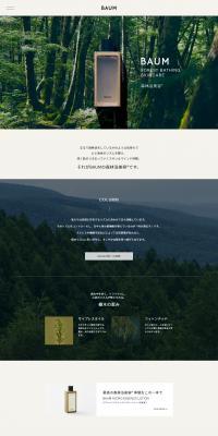 BAUM LP design (Skincare, Bodycare, Haircare / Beige tones / Simple) PC version