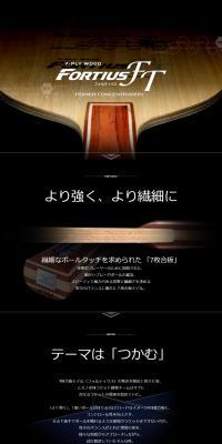 フォルティウスFTのLPデザイン（スポーツ用品／ブラック系／スタイリッシュ系）PC版