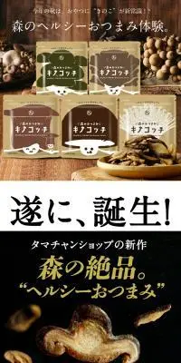 キノコッチのLPデザイン（スナック・ガム・あめ・グミ／ブラウン系／信頼・安心系）PC版