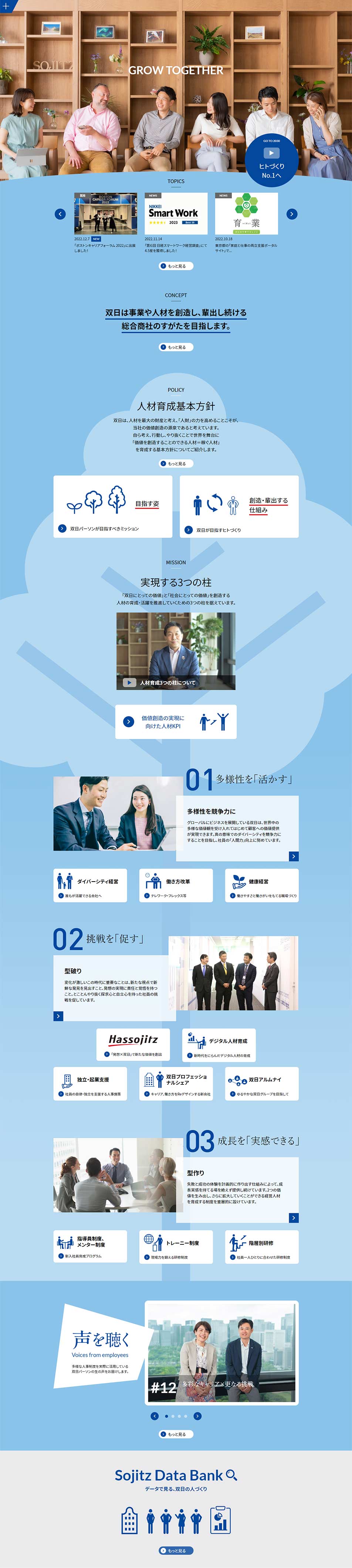 Human Resources Initiatives Special Site LP design (Businesses, companies, stores / Shades of grey / Simple) PC version