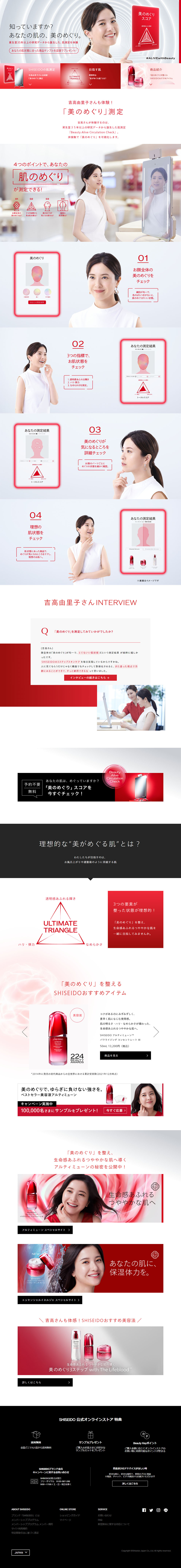 Beauty Circulation LP design (Diagnosis, Matching, and Summary / Red tones / Simple) PC version