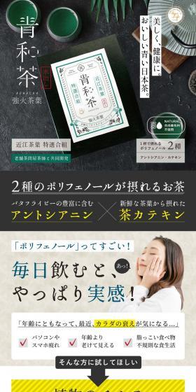 Seiwacha Strong-Fire Roasted Fragrant Tea Blend BOX LP design (Green Tea, Black Tea, and Coffee / Green tones / Trust and Safety) PC version