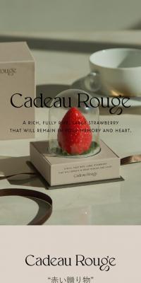 Cadeau RougeのLPデザイン（フルーツ・果物・野菜／グレー系／シンプル系）スマホ版