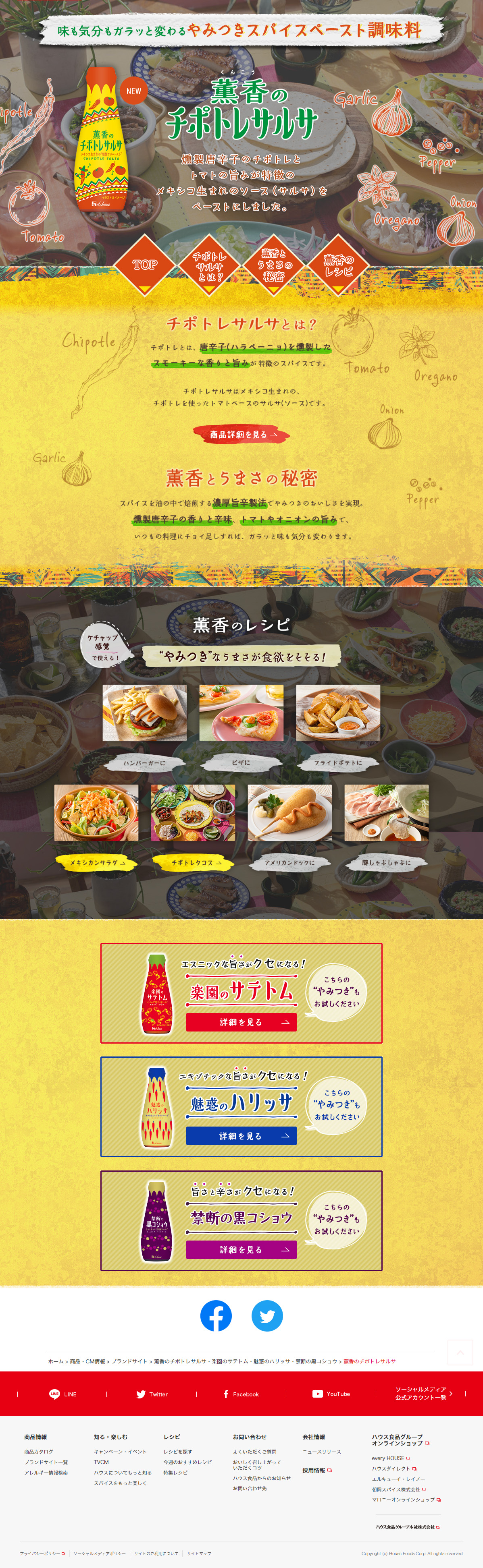 Kunko no Chipotle Salsa LP design (Seasonings, Sweeteners, Broth, Soup / Orange tones / Arts) PC version