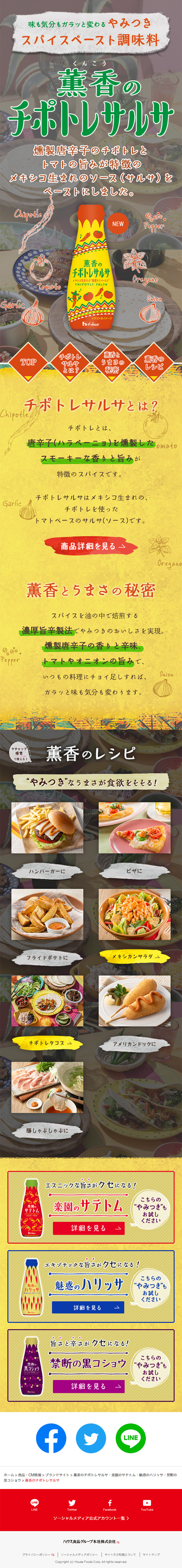 Kunko no Chipotle Salsa LP design (Seasonings, Sweeteners, Broth, Soup / Orange tones / Arts) Mobile version
