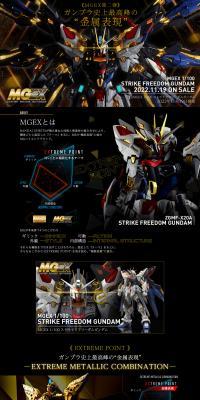 MGEX1/100 Strike Freedom Gundam LP design (Toys, Hobbies & Figures / Black-colored / Luxury and celebrity) PC version