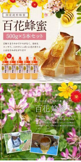 Multifloral Honey LP design (Seasonings, Sweeteners, Broth, Soup / White-based / Natural style) PC version