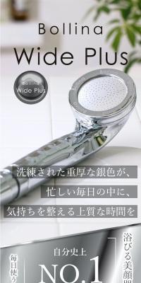 Bollina Wide Plus Silver LP design (Kitchen and Bath Products / Shades of grey / Refined style) PC version