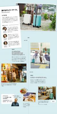 Carry case LP design (bag / Shades of blue / Stylish type) PC version