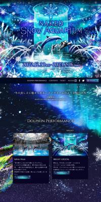NAKEDSNOWAQUARIUM LP design (Amusement parks, theme parks, and parks / Shades of blue / Refined style) PC version
