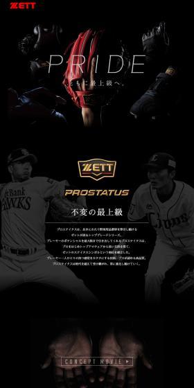 PROSTATUS LP design (Sporting goods / Black-colored / Simple) PC version